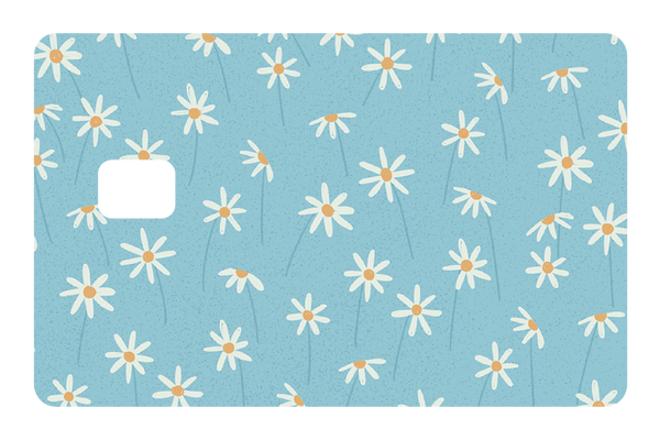 Blue Daisies