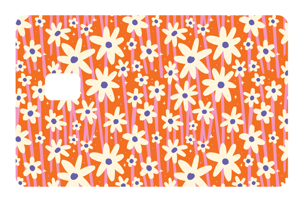 Orange Daisies